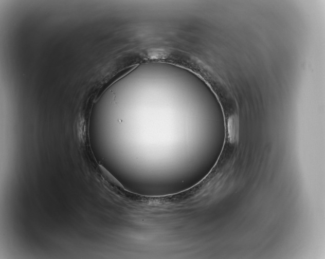 X0000099581443200805301551