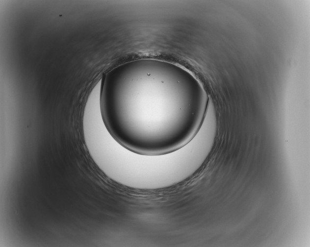 X0000099581444200805301550