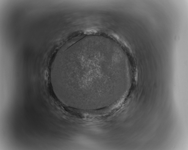 X0000099581445200805301550