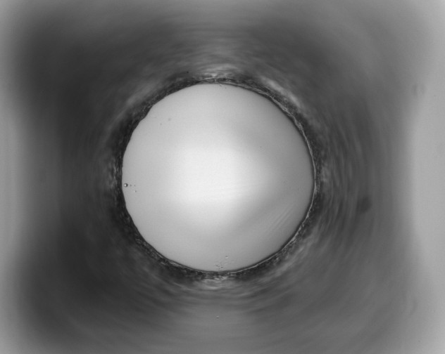 X0000099581447200805301550