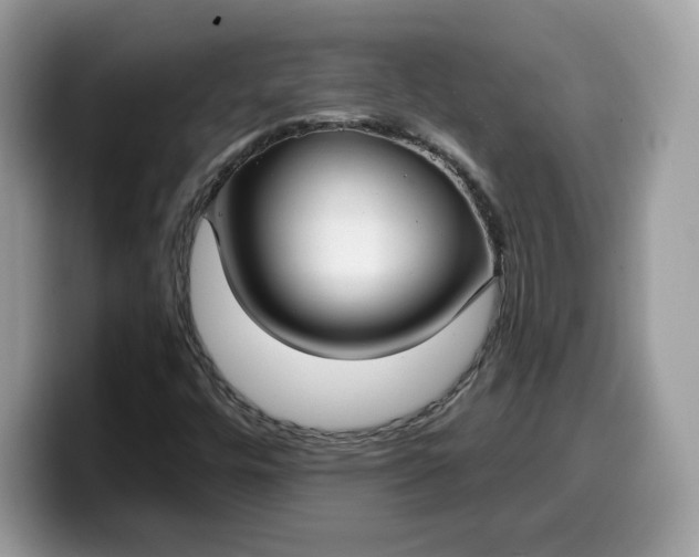 X0000099581448200805301550