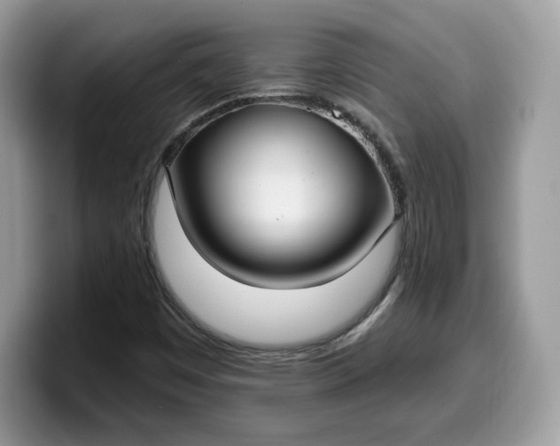 X0000099581449200805301550