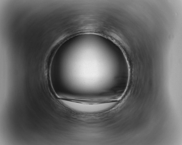 X0000099581450200805301550