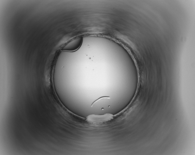 X0000099581451200805301550