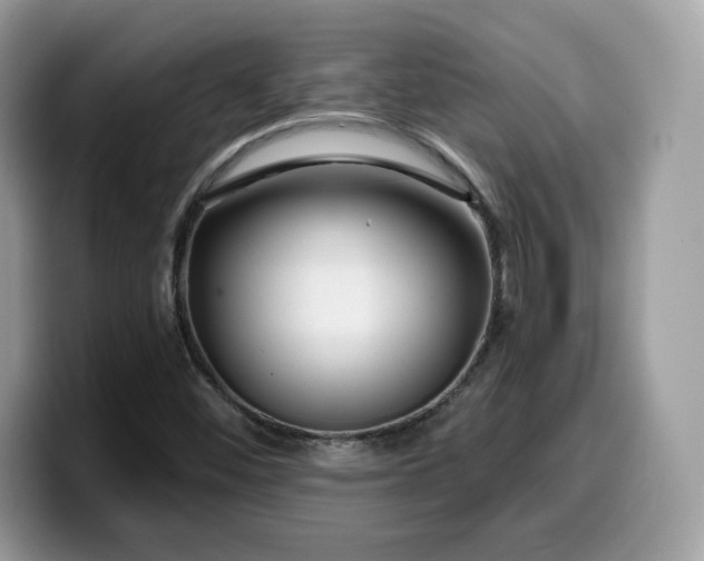 X0000099581452200805301550