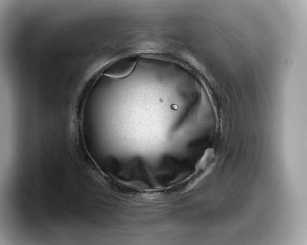 X0000099581453200805301550