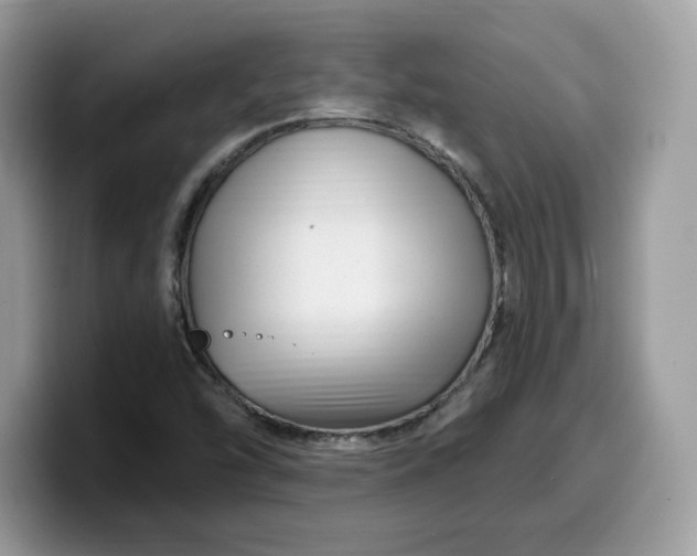 X0000099581454200805301550