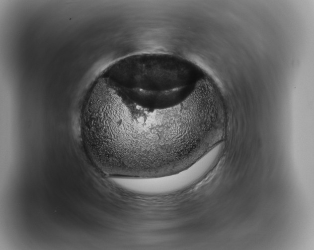 X0000099581455200805301550