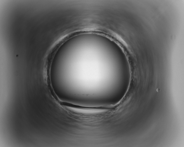 X0000099581456200805301550