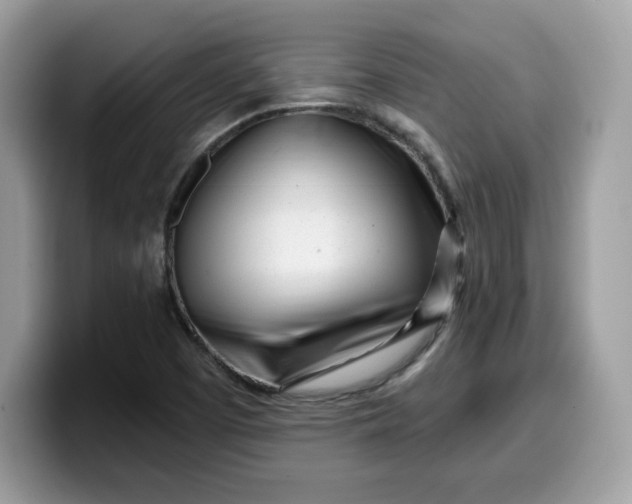 X0000099581457200805301550