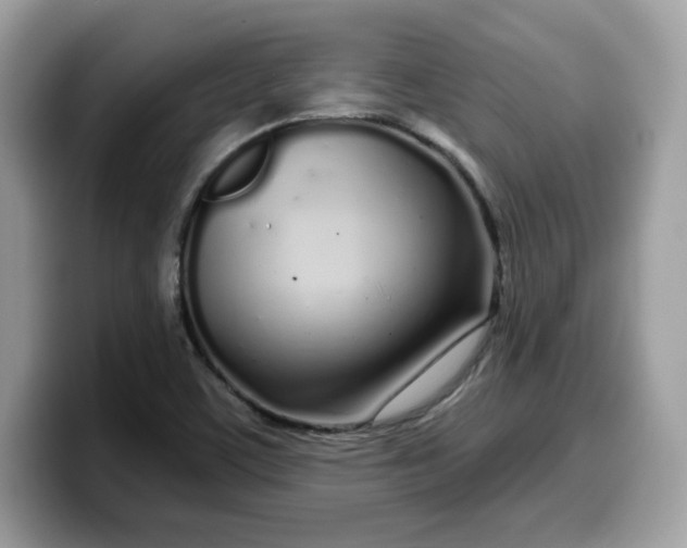 X0000099581459200805301550