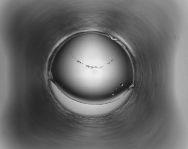 X0000099581460200805301550