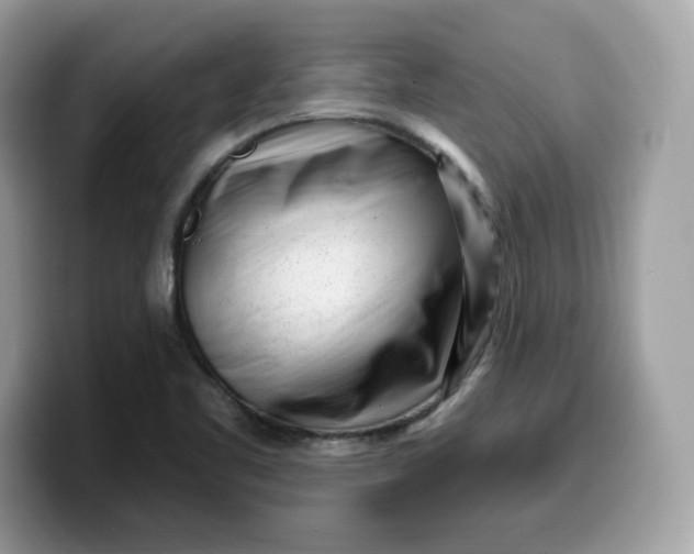 X0000099581461200805301550