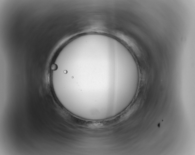 X0000099581462200805301550