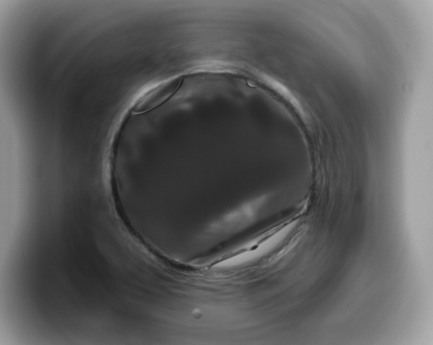 X0000099581463200805301550