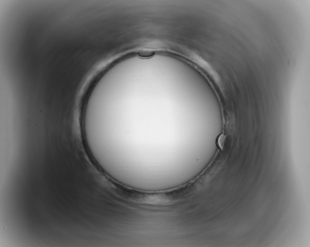 X0000099581464200805301550