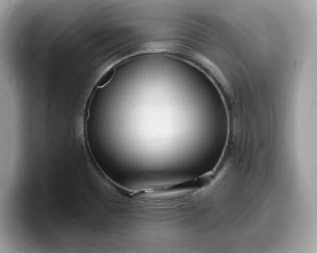 X0000099581465200805301550