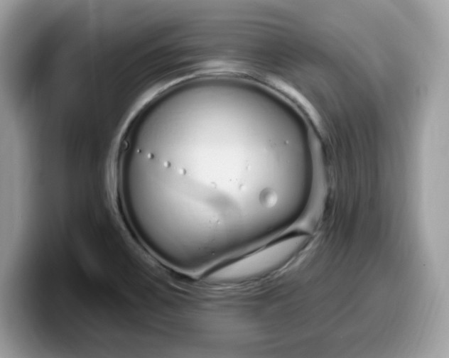 X0000099581467200805301550