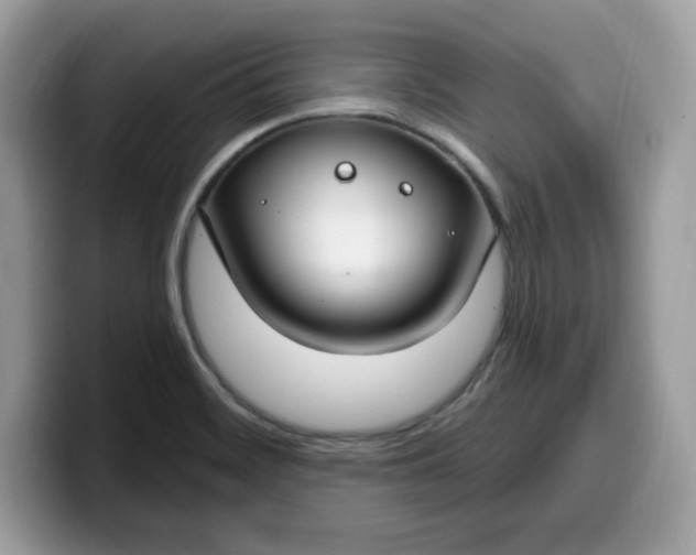 X0000099581468200805301550