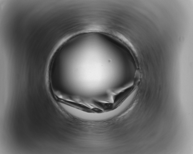 X0000099581469200805301550