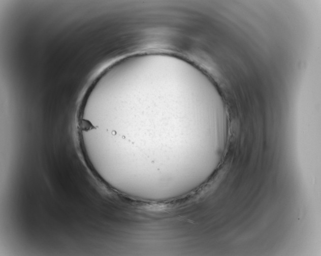 X0000099581470200805301550