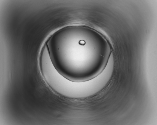 X0000099581472200805301550