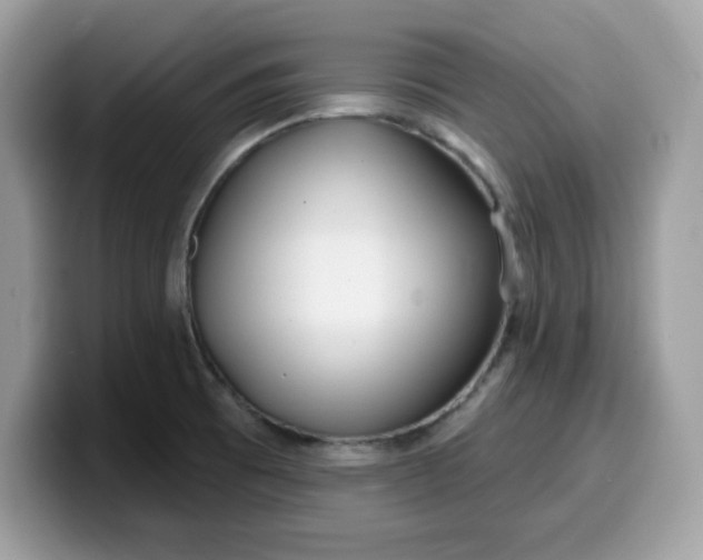 X0000099581473200805301550