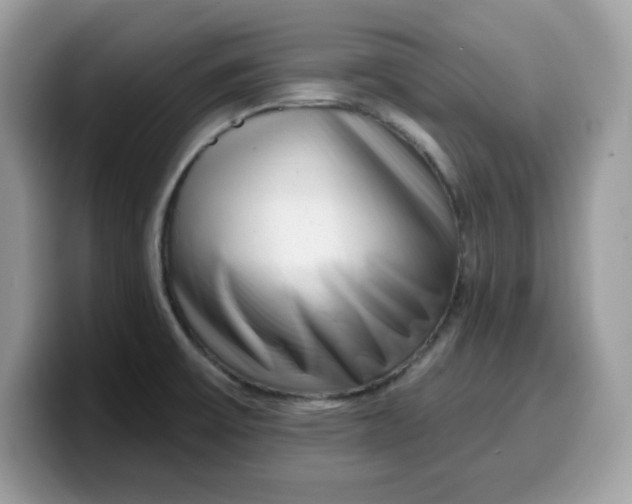 X0000099581475200805301550