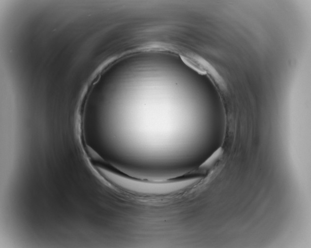 X0000099581476200805301550