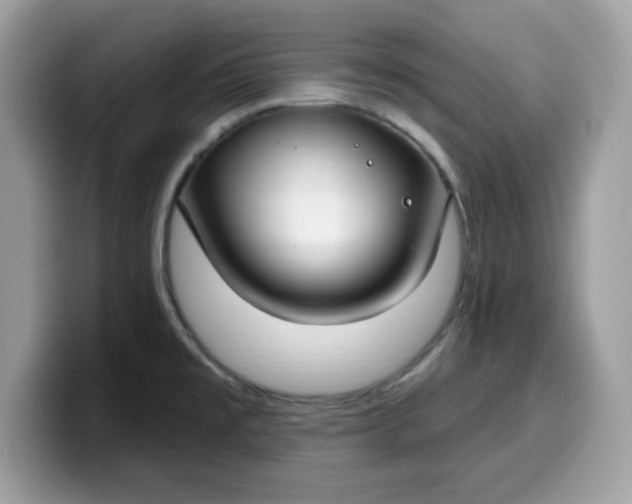 X0000099581477200805301550