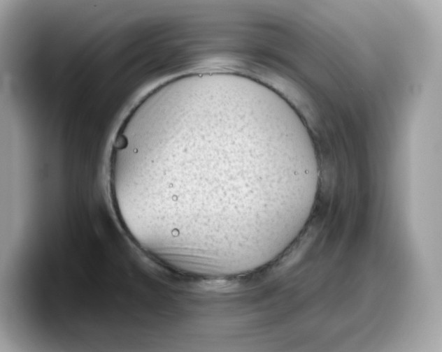 X0000099581478200805301550