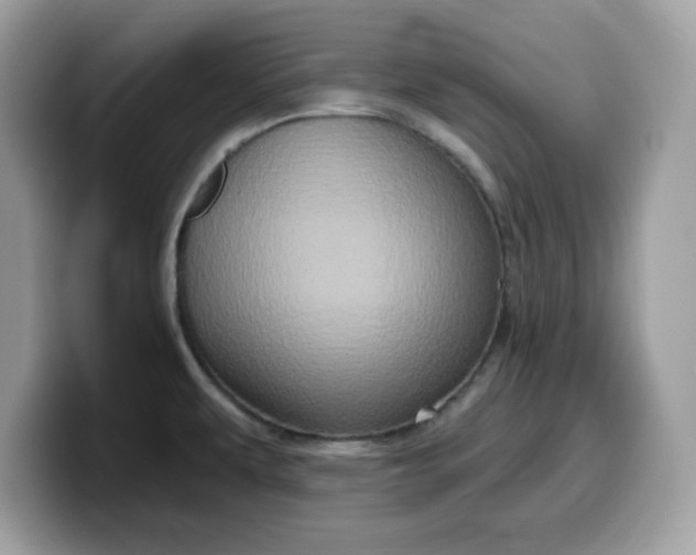 X0000099581479200805301550