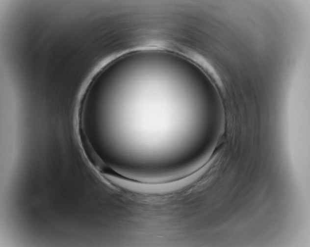 X0000099581480200805301550