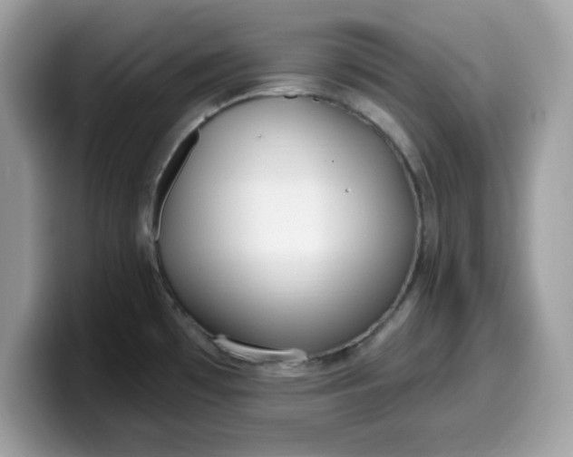 X0000099581481200805301550