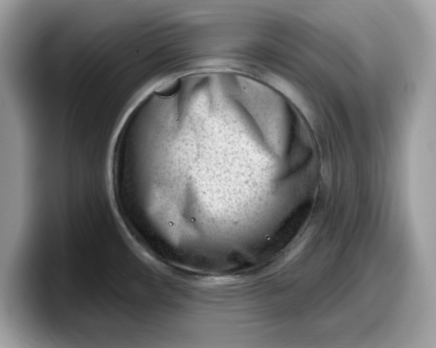 X0000099581482200805301550