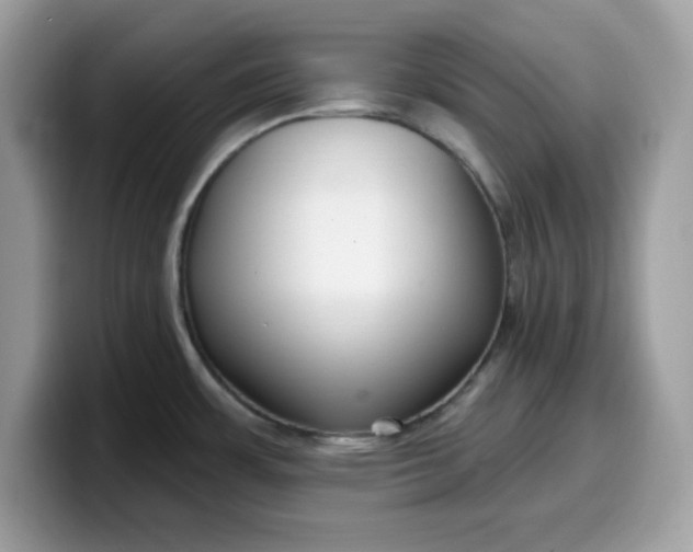 X0000099581483200805301550