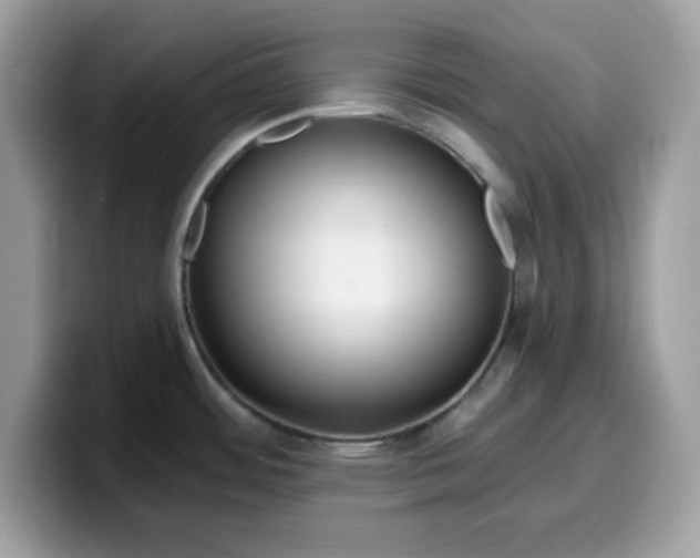 X0000099581484200805301550