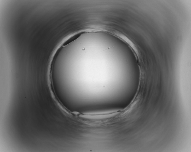 X0000099581485200805301550