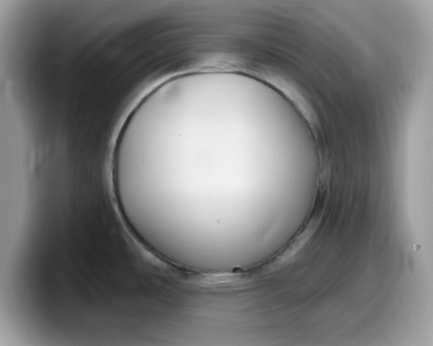 X0000099581486200805301550