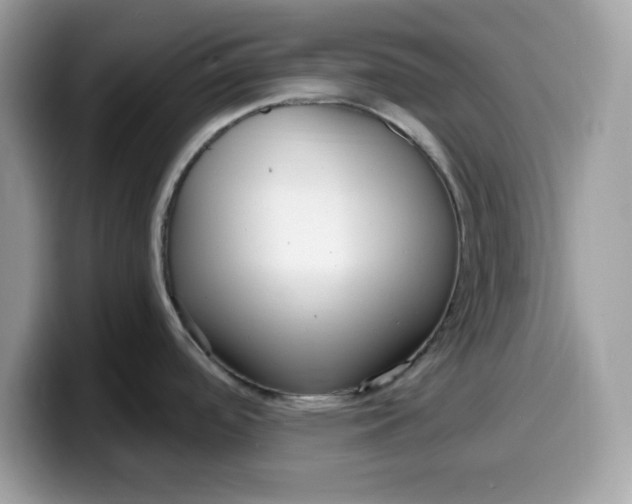 X0000099581488200805301550