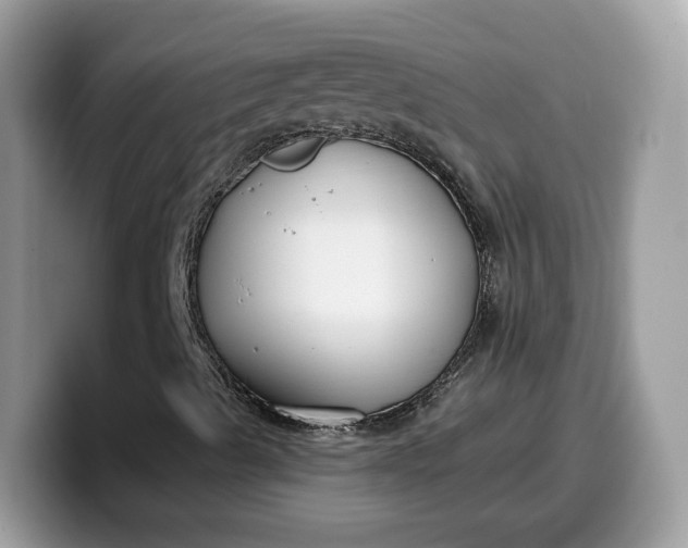 X0000099581489200805301549