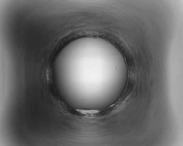 X0000099581490200805301549