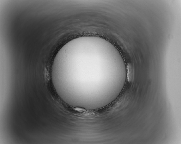 X0000099581491200805301549