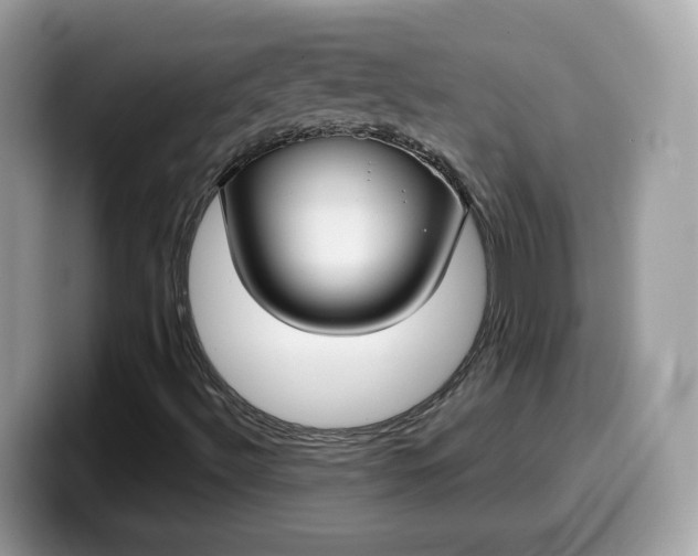 X0000099581492200805301549