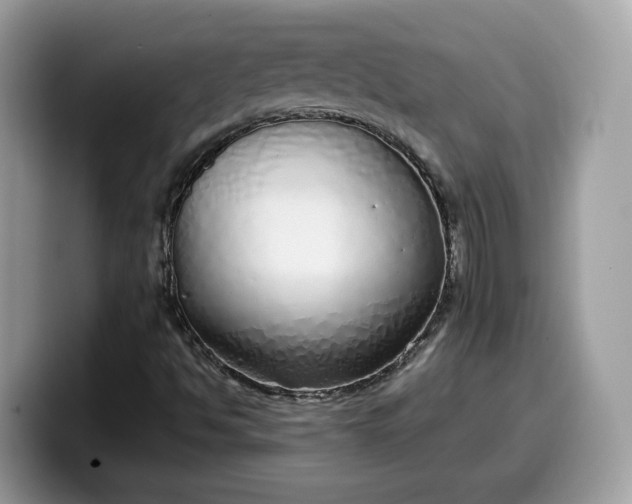 X0000099581494200805301549