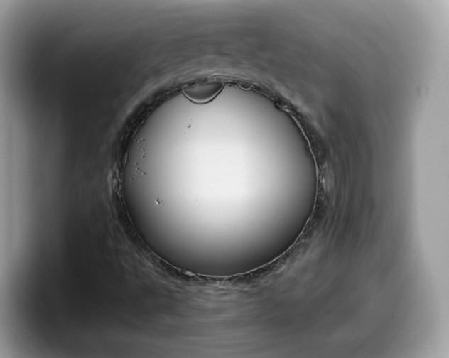 X0000099581495200805301549