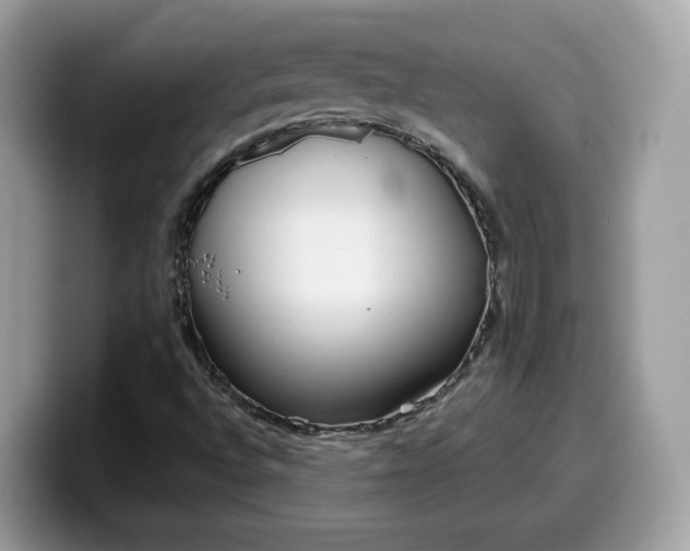 X0000099581496200805301549