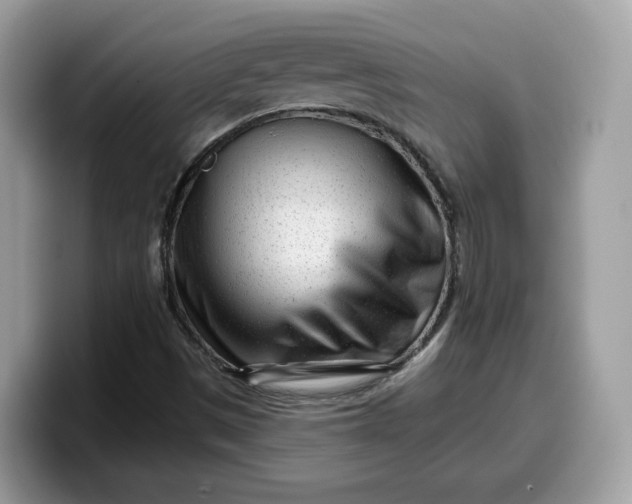 X0000099581497200805301549