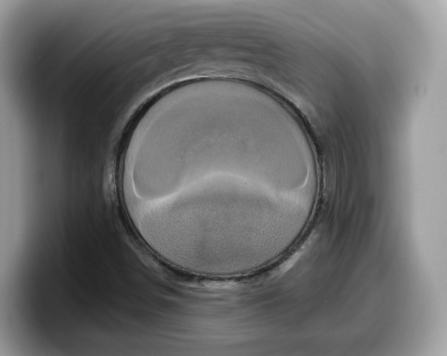 X0000099581498200805301549