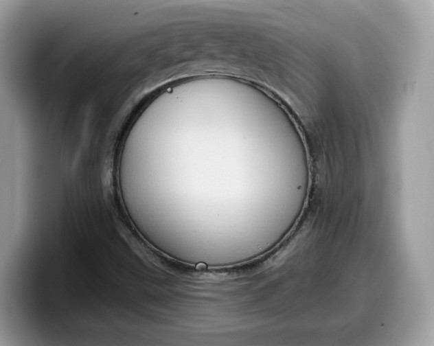 X0000099581499200805301550